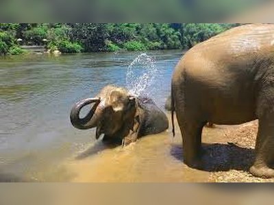 Sai Yok Elephant Village