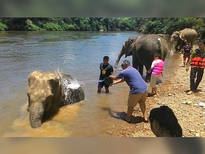 Sai Yok Elephant Village
