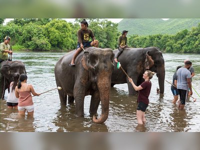 Sai Yok Elephant Village