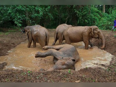 Sai Yok Elephant Village