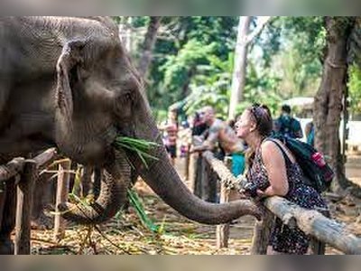 Sai Yok Elephant Village