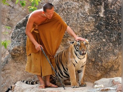 Tiger Temple (Wat Pa Luang Ta Bua)