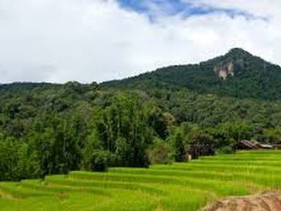 Doi Inthanon
