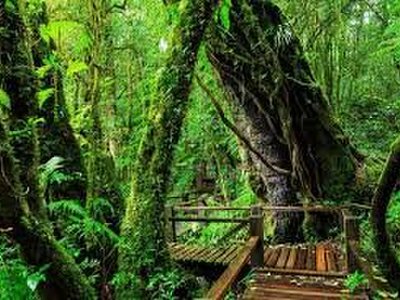 Doi Inthanon