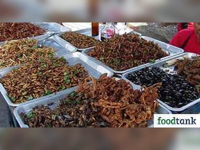Eating Insects in Bangkok and Where to Find Them