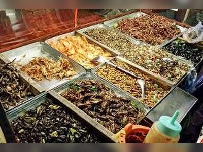 Eating Insects in Bangkok and Where to Find Them