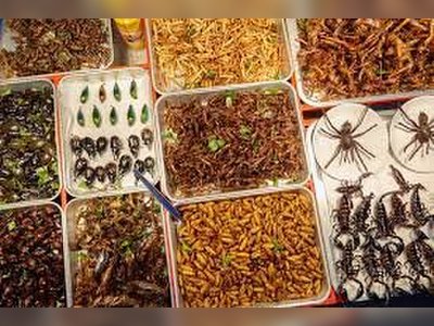 Eating Insects in Bangkok and Where to Find Them