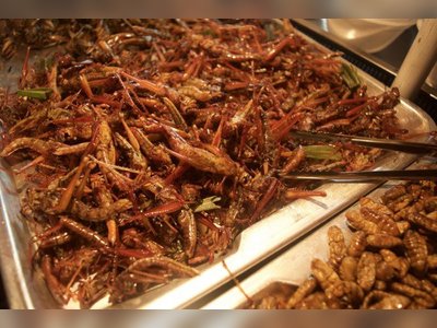 Eating Insects in Bangkok and Where to Find Them