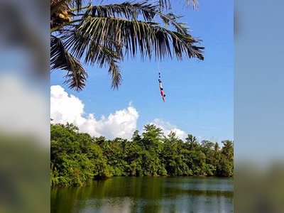 Jungle Bungy Jump in Phuket