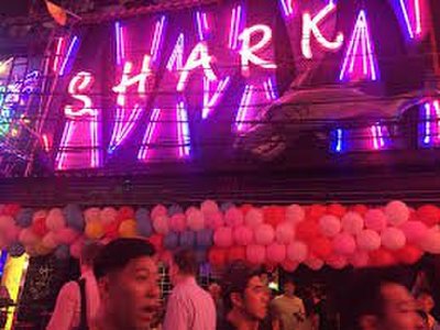Shark