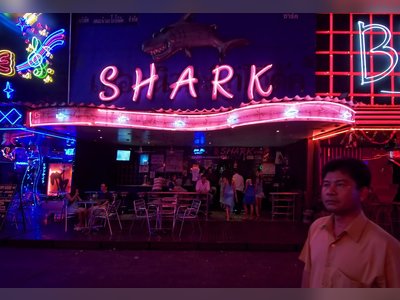 Shark