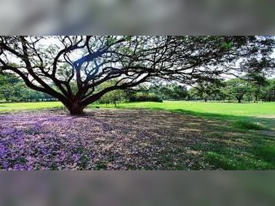 Queen Sirikit Park