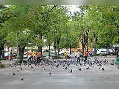 Sanam Luang Park (The Royal Field)