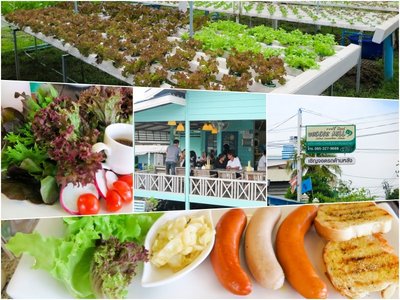ร้าน Veggie Veggie by Namo Nammom Farm