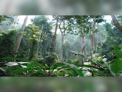 Namtok Mae Surin National Park