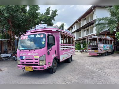 The Pink Bus