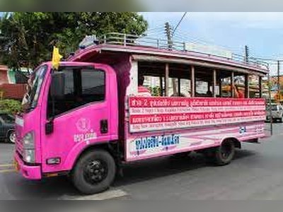 The Pink Bus