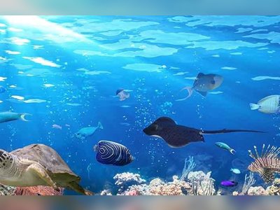 พิพิธภัณฑ์สัตว์น้ำภูเก็ต Phuket Aquarium