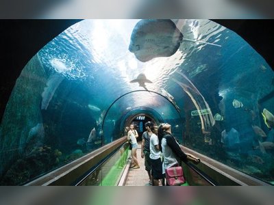 พิพิธภัณฑ์สัตว์น้ำภูเก็ต Phuket Aquarium