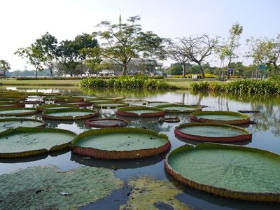 Rama IX Park