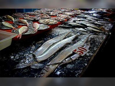 Banzaan Market in Phuket