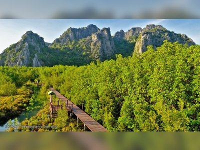 Walk through the Pranburi Forest Park Mangrove