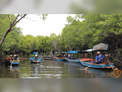 Walk through the Pranburi Forest Park Mangrove