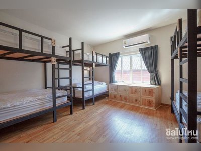 Mad Panda Hostel