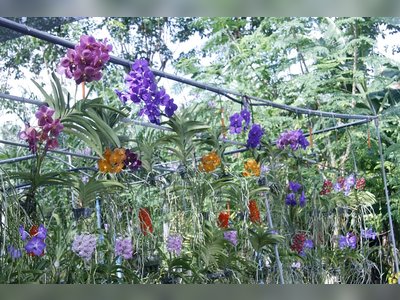 Phuket Orchid Farm
