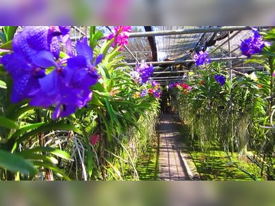 Phuket Orchid Farm