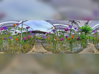 Phuket Orchid Farm