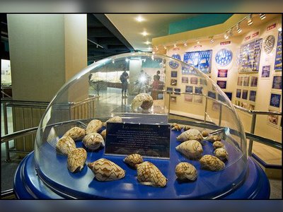Phuket Seashell Museum