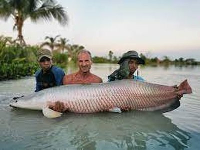 AC's Phuket Fishing Park