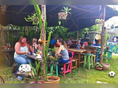 Free Bird Cafe