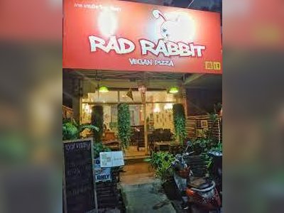 Rad Rabbit