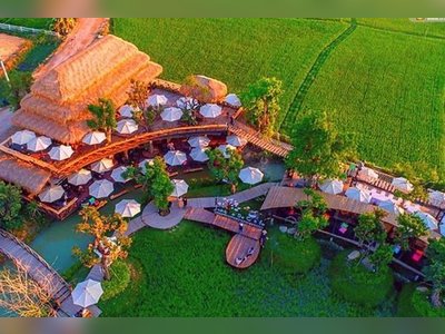 Jungle De Café