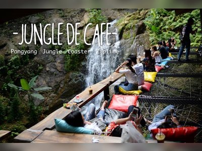 Jungle De Café