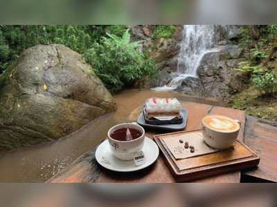 Jungle De Café