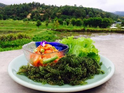 Phuffin in the Lake