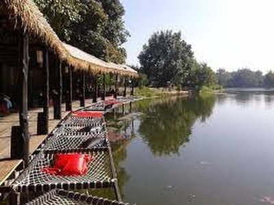 Phuffin in the Lake