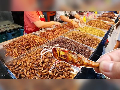 Eating Insects in Bangkok and Where to Find Them