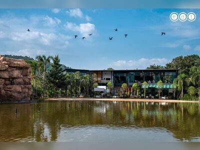THE PARK KHAOYAI