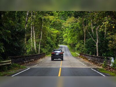 Rent a car