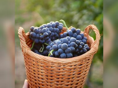 GranMonte Vineyard and Winery
