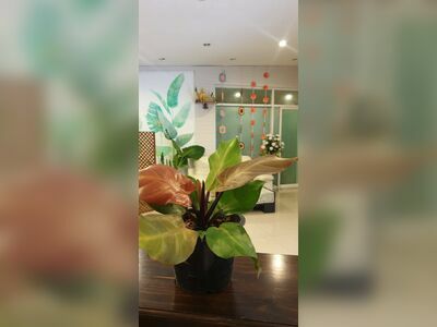 Nature thai massage and spa