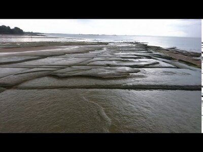 Fossil Shell Beach