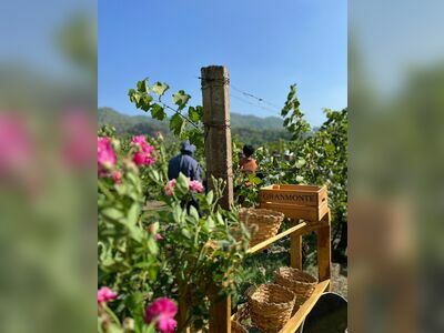 GranMonte Vineyard and Winery