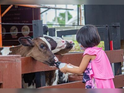 Farm Chokchai