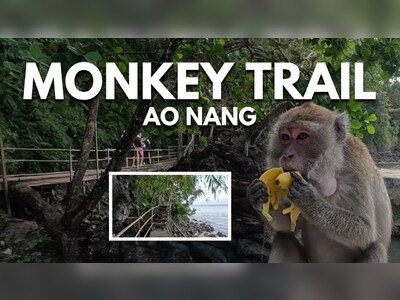Monkey Trail, Krabi