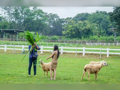 Farm Chokchai